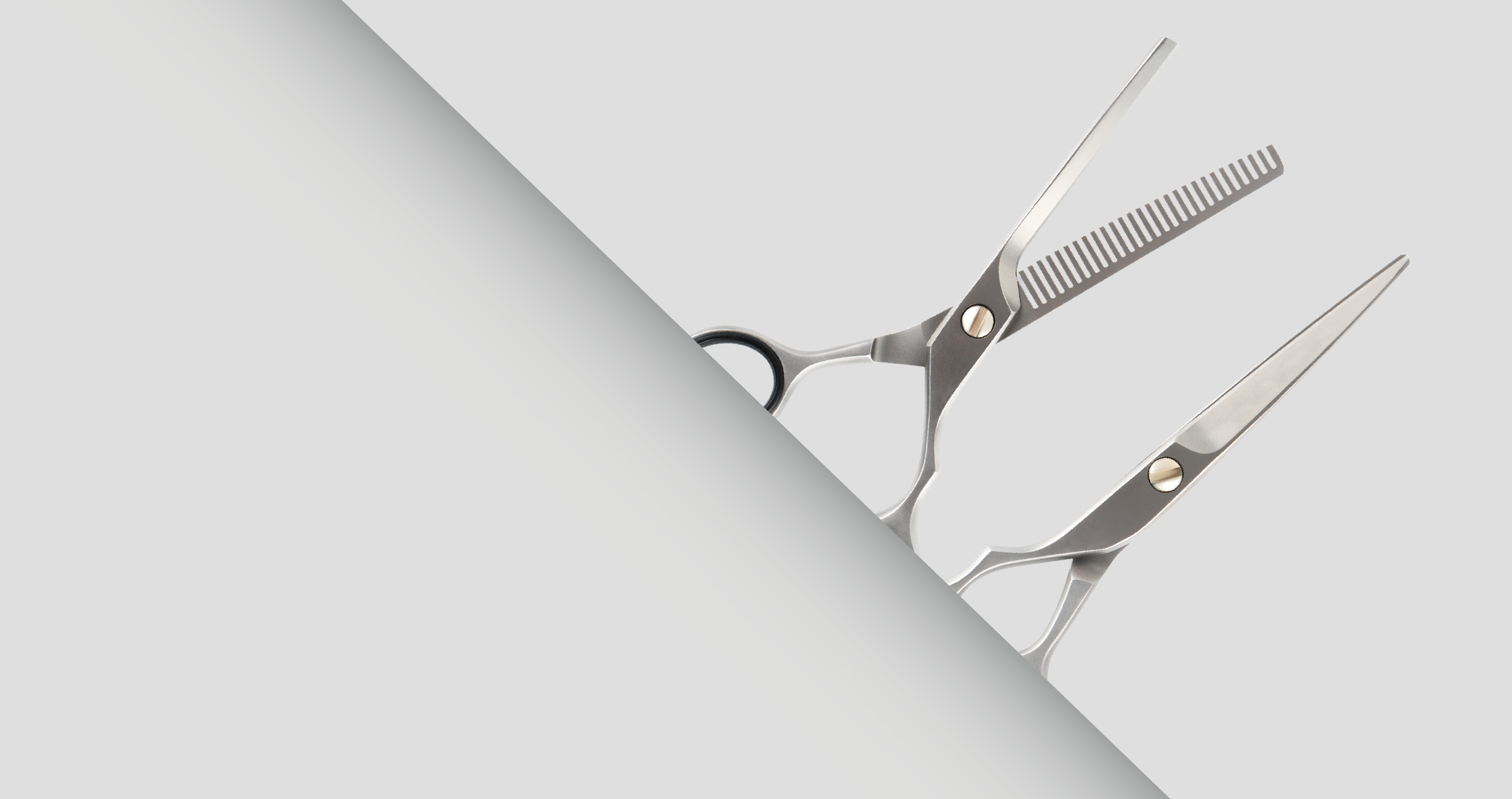 Hair Scissors