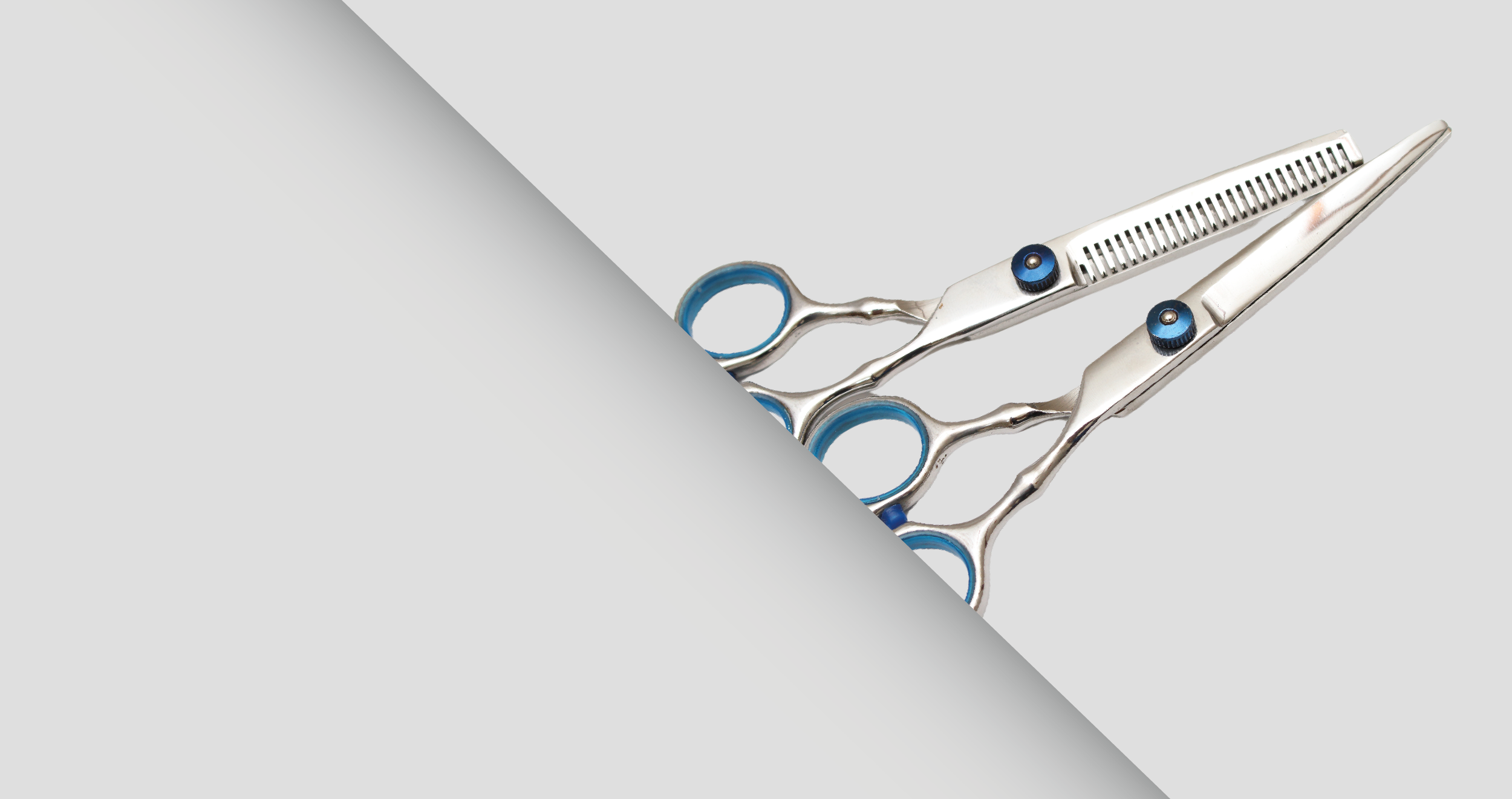 Hair Scissor Sets