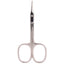 Long Pointed Tips 3.5 Inch (9cm) 2022