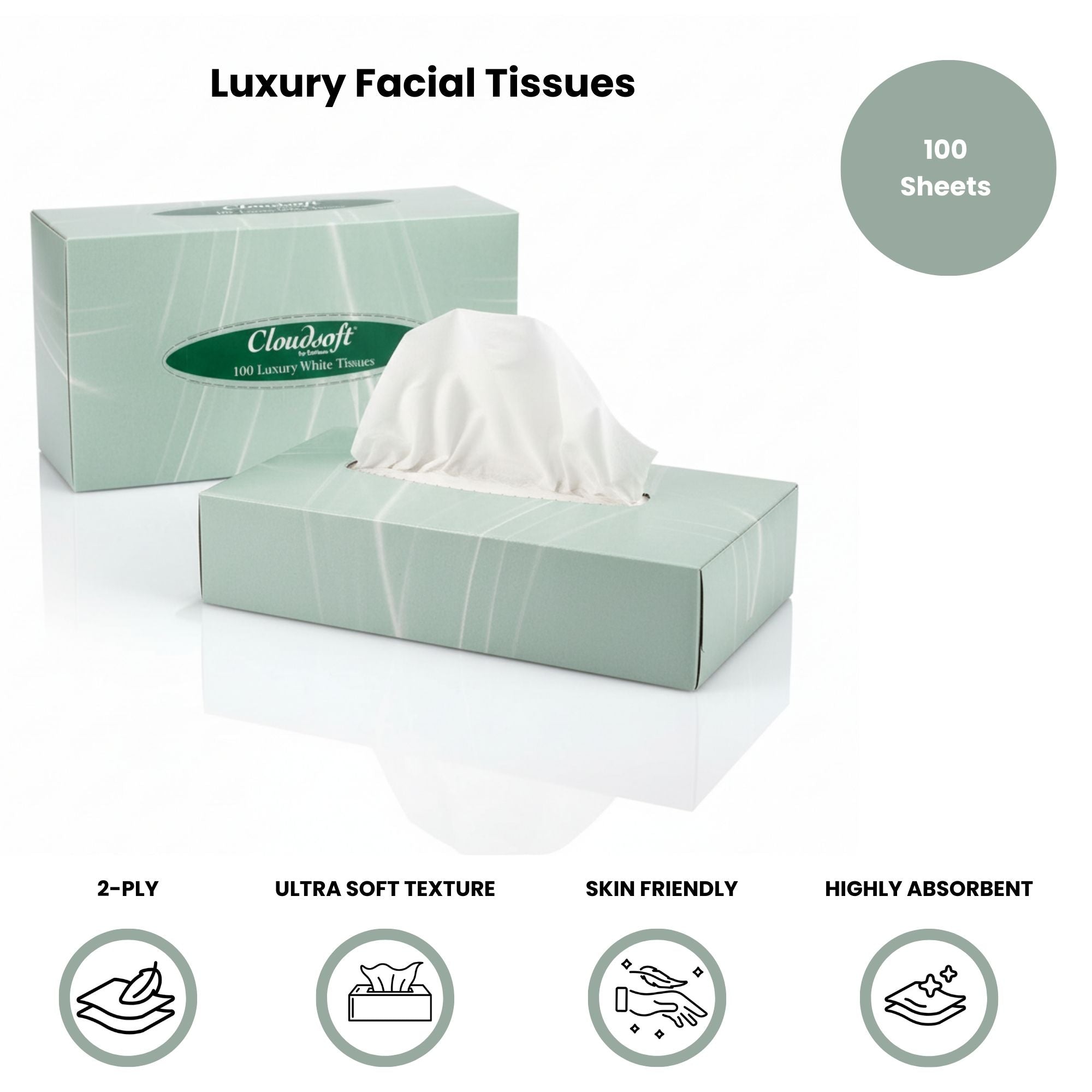 Cloudsoft - Luxury Facial Tissues 100 Sheets