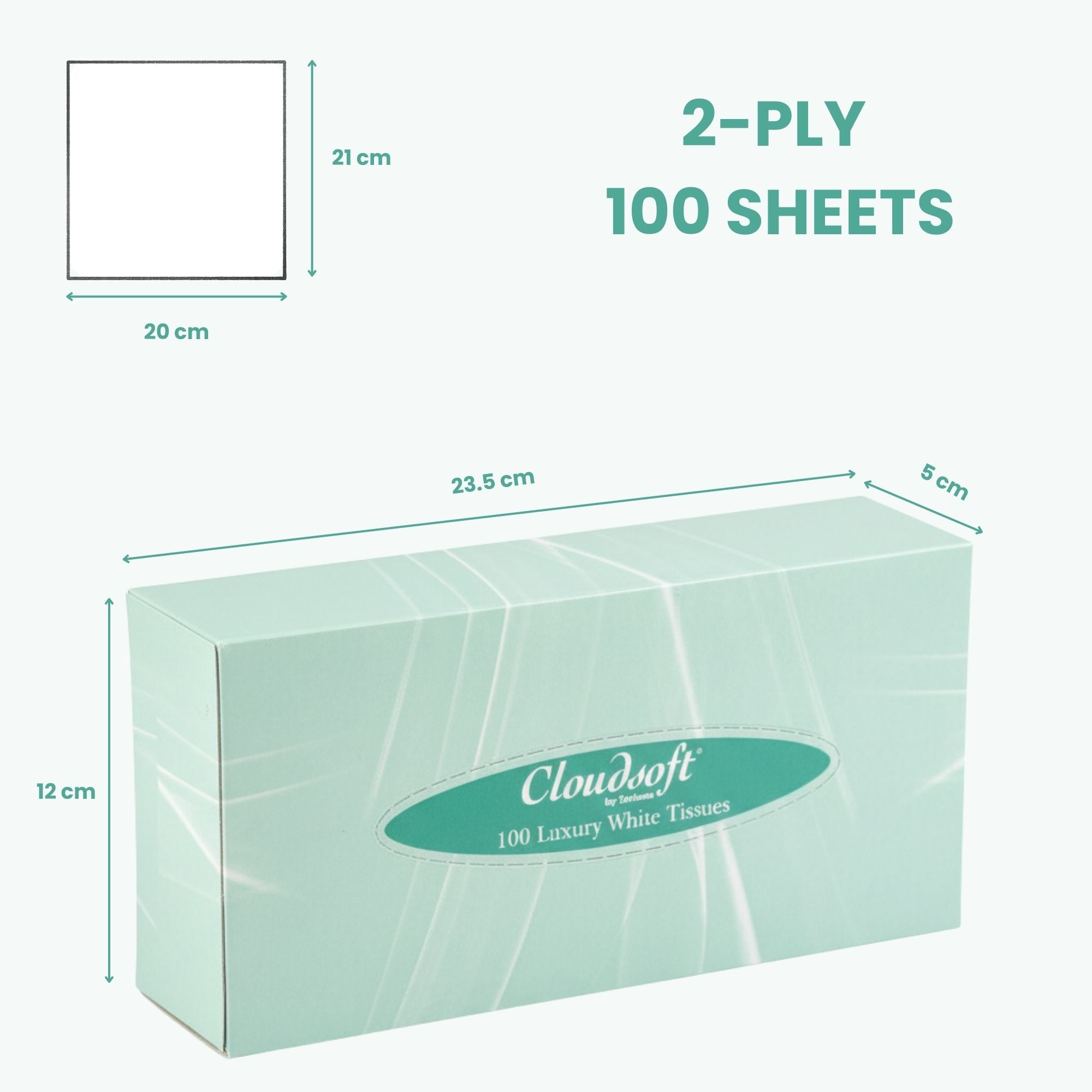 Cloudsoft - Luxury Facial Tissues 100 Sheets