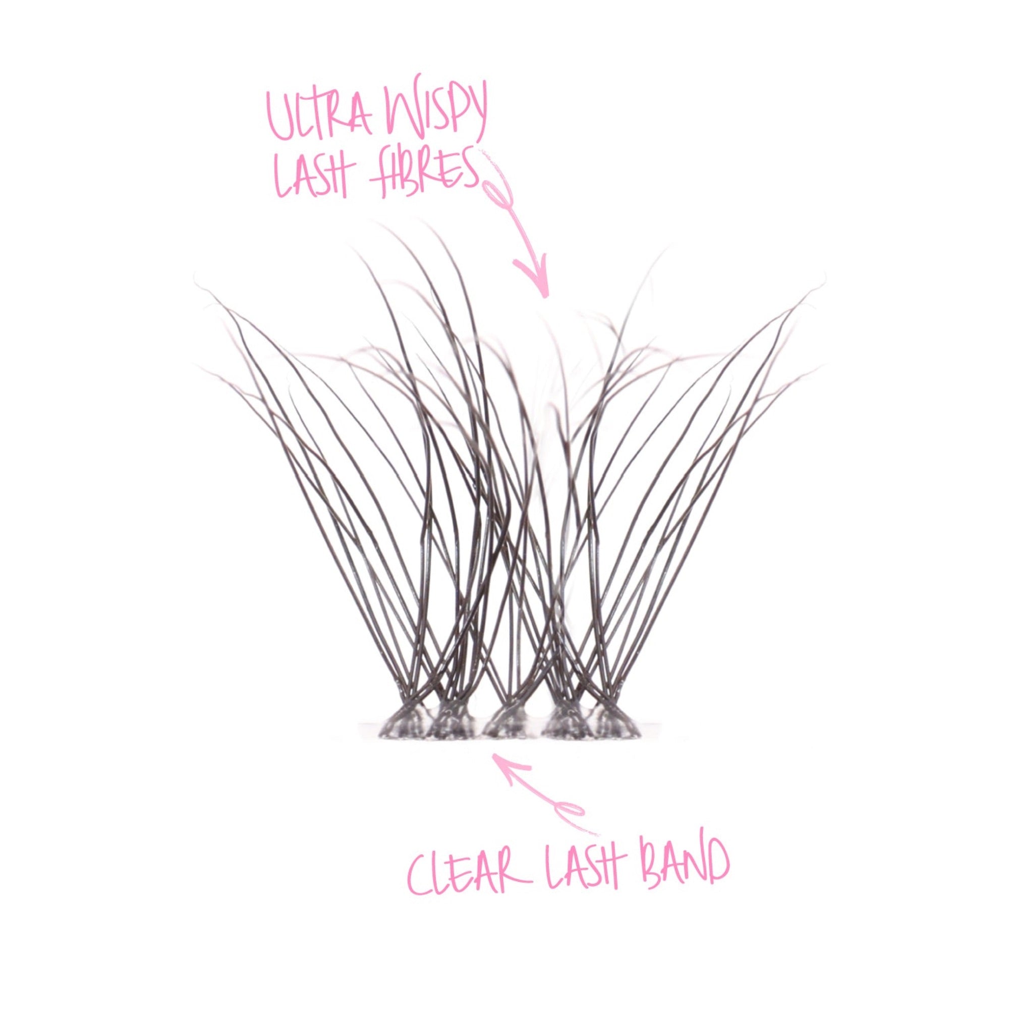 Tatti Lashes - Everyday Wisp Individual Lashes (8, 10 & 12mm)