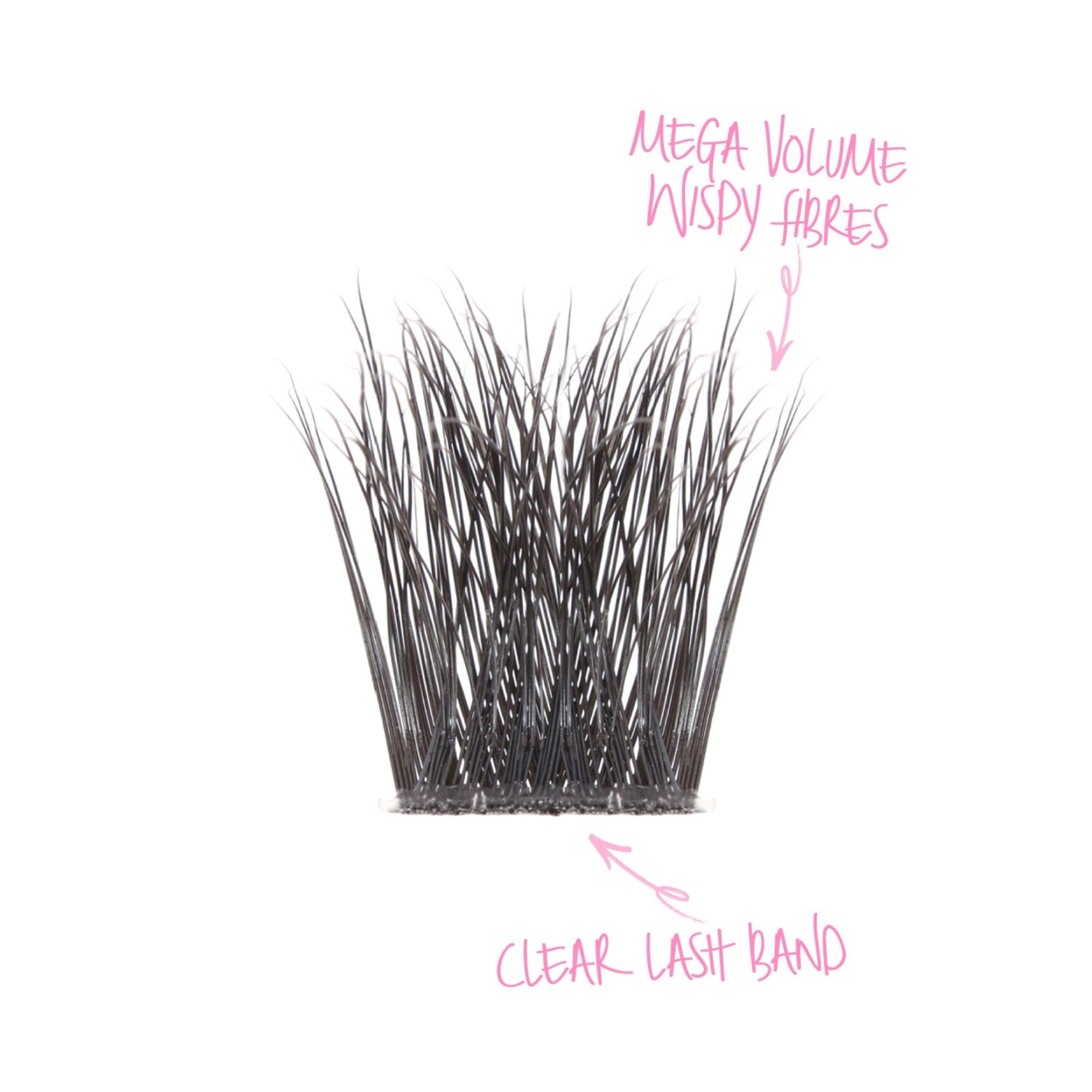 Tatti Lashes - Full Volume Individual Lashes (12, 14 & 16mm)