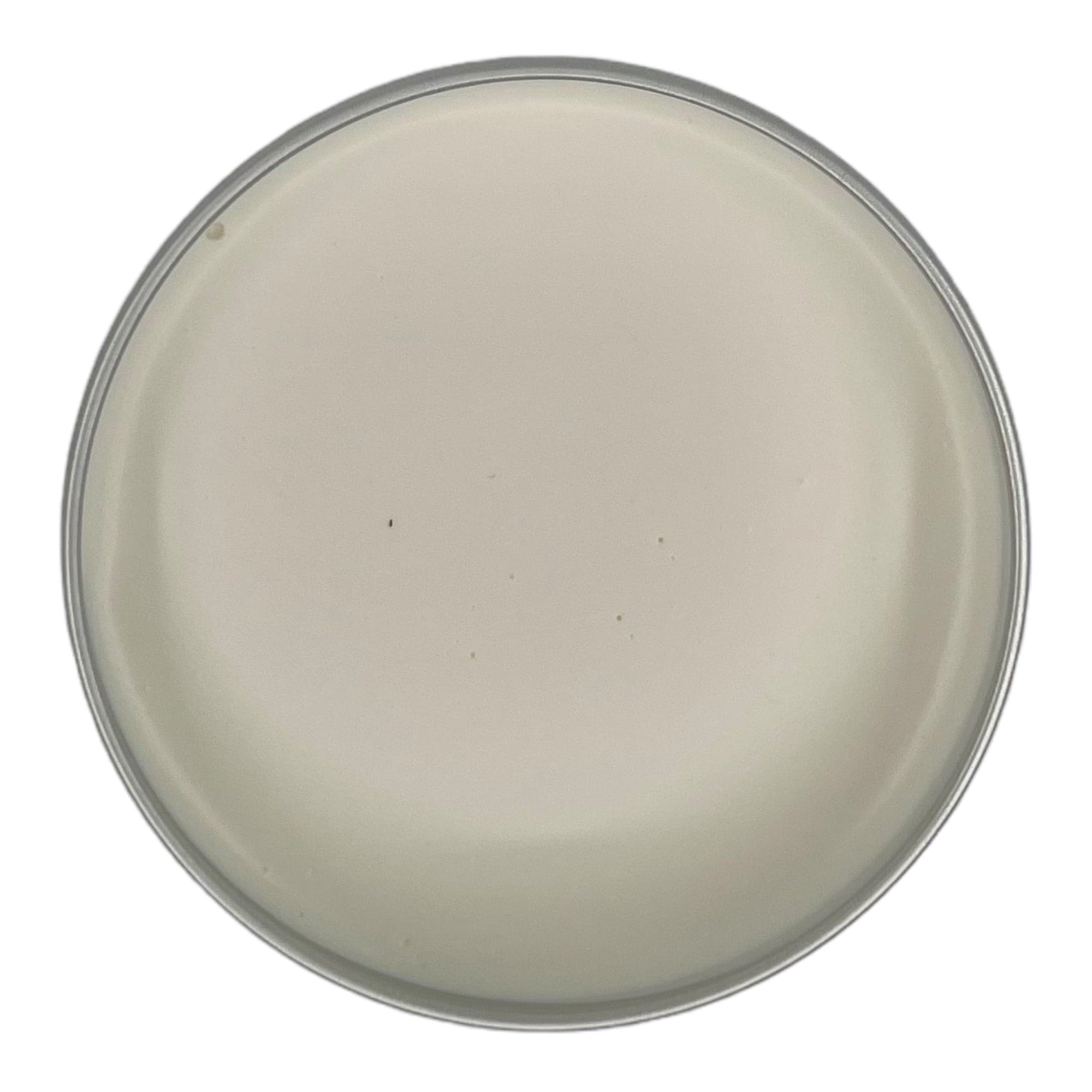 Morgan's - Matt Paste Matt Styling Cream