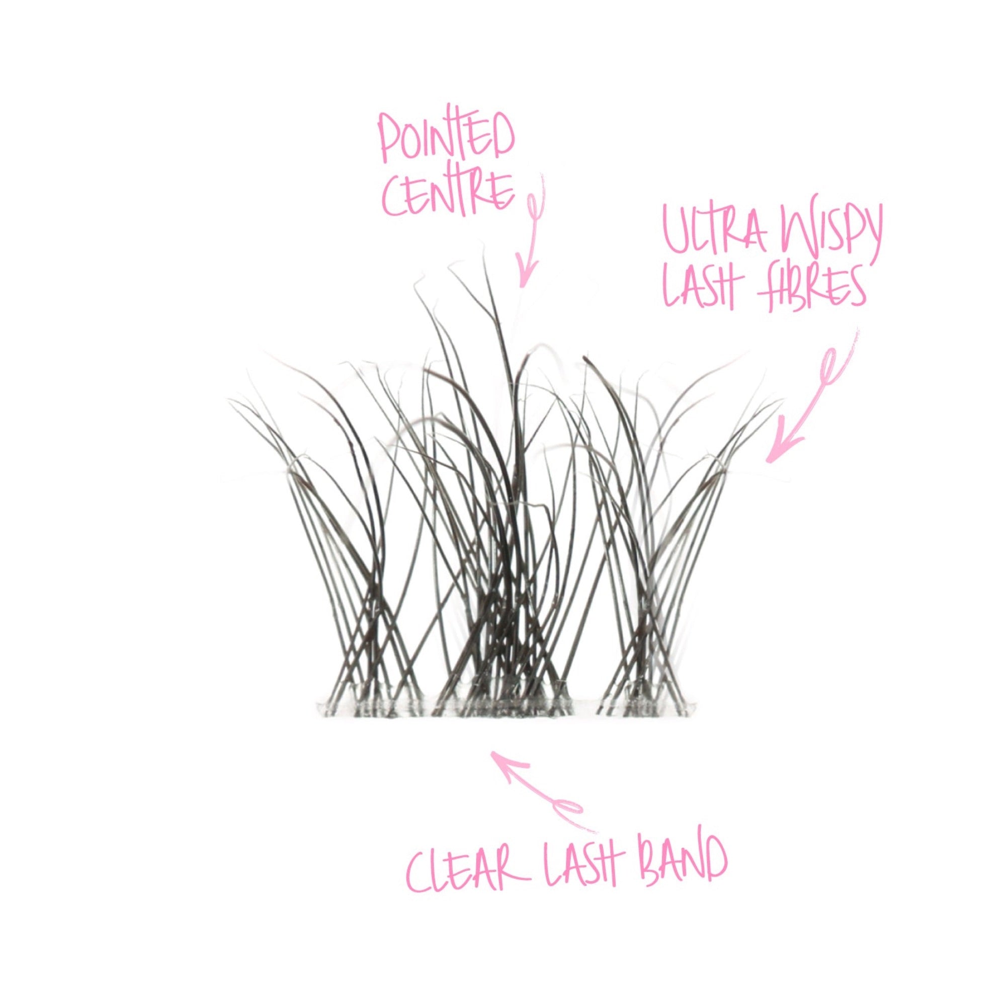 Tatti Lashes - Pointed Wisp Individual Lashes (10, 12 & 14mm)