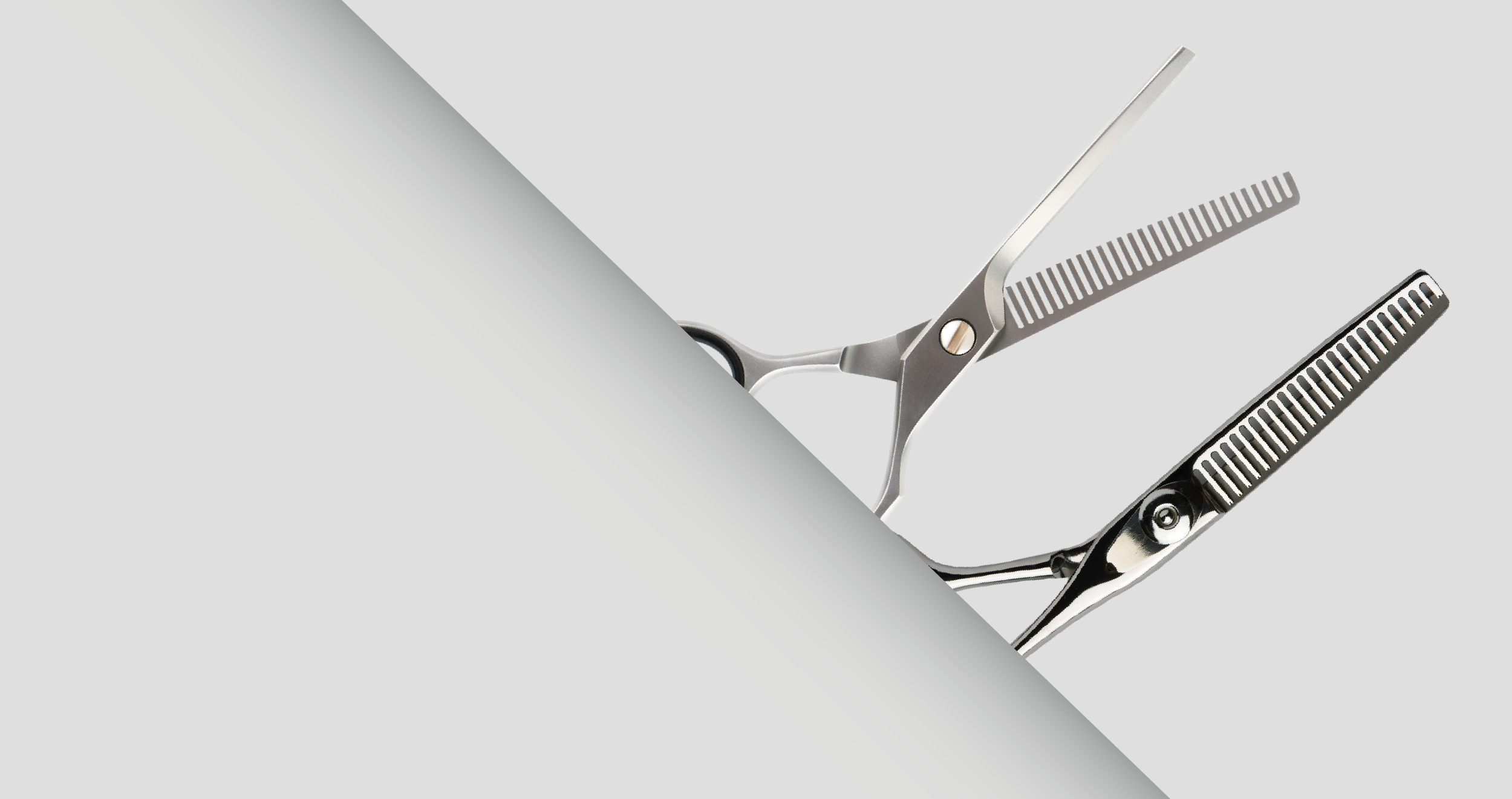 Hair Thinning Scissors