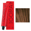 6-65 Dark Blonde Chocolate Gold