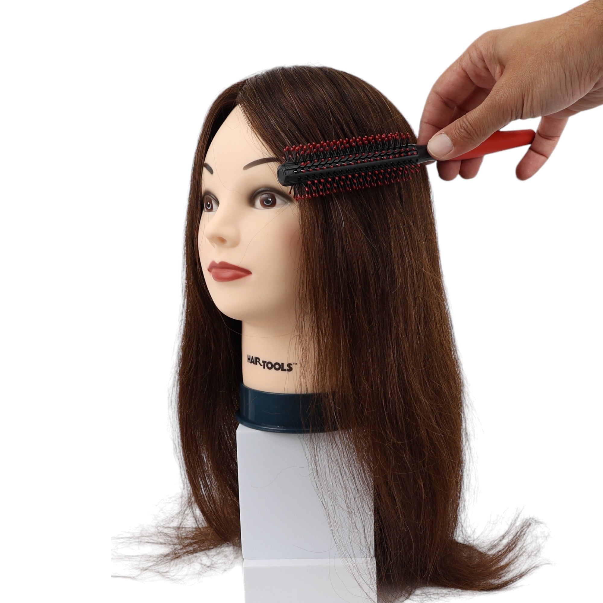 Hair Tools - Mannequin Training Head