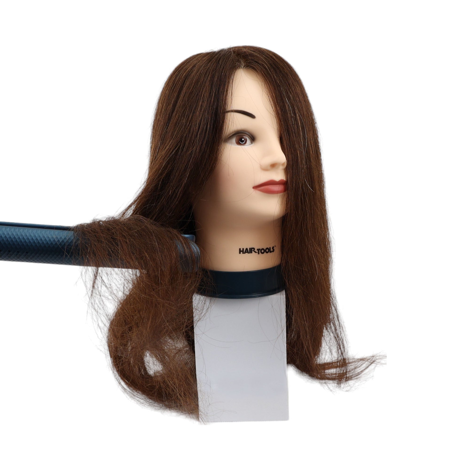 Hair Tools - Mannequin Training Head