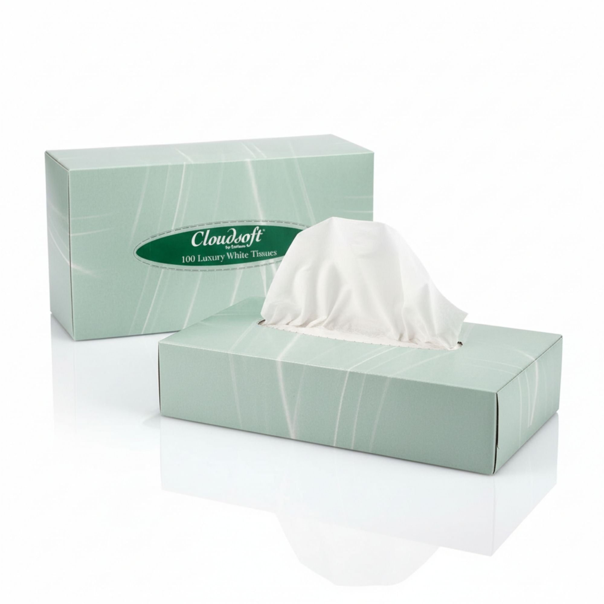Cloudsoft - Luxury Facial Tissues 100 Sheets