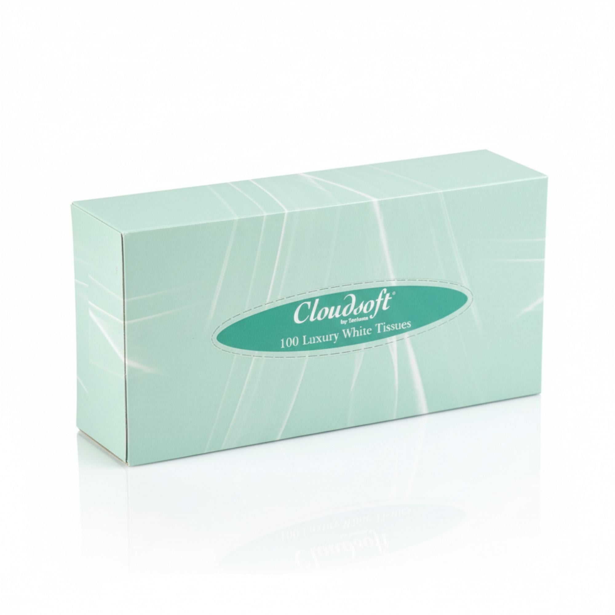 Cloudsoft - Luxury Facial Tissues 100 Sheets