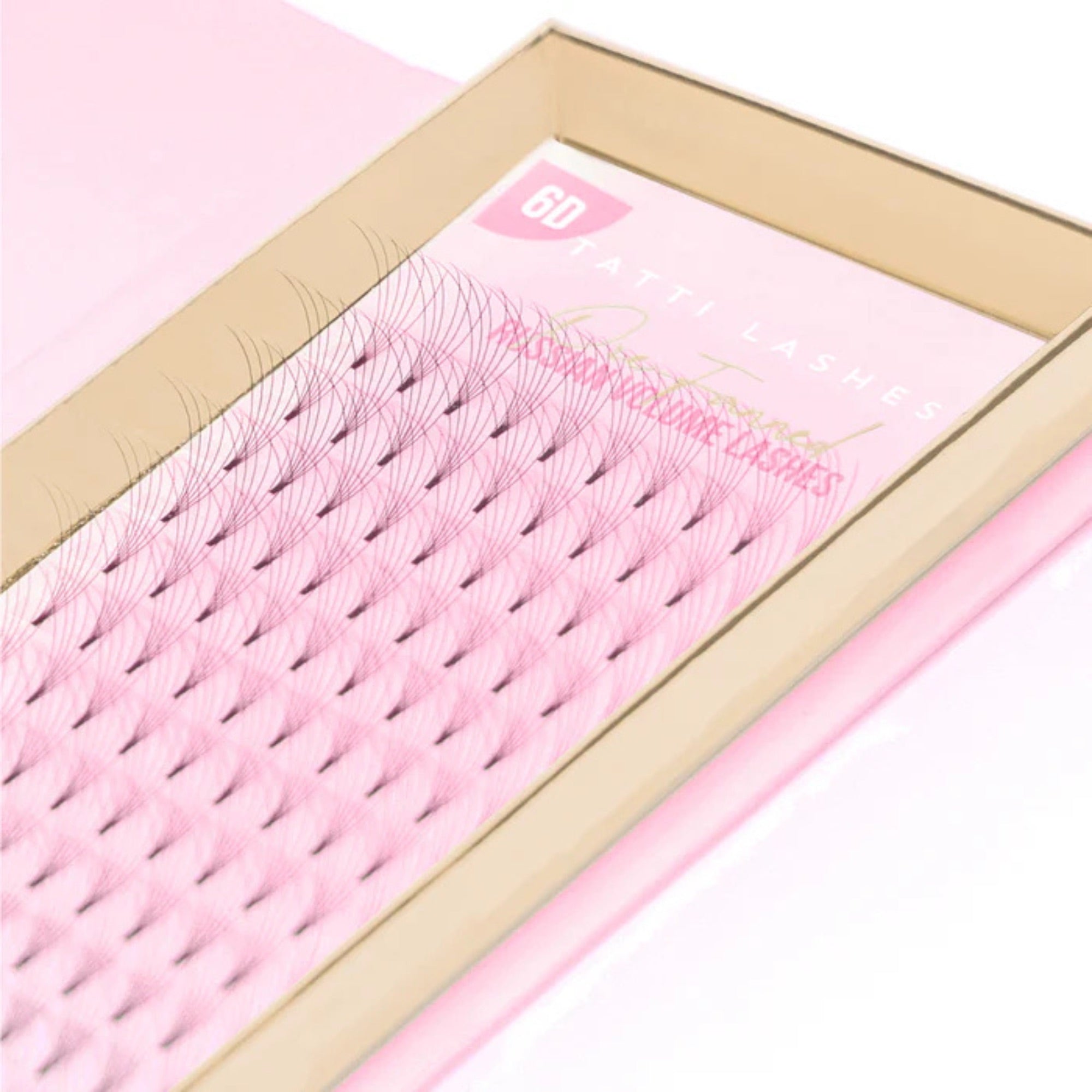 Tatti Lashes - 6D Pre-Fanned Russian Volume  Lashes 0.07 D Curl (10-16mm)