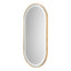 Salon Mirror - Oval Gold Framed LED Mirror with Smart Touch Sensor & 3-Colour Lighting Modes