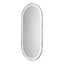 Salon Mirror - Oval Silver Framed LED Mirror with Smart Touch Sensor & 3-Colour Lighting Modes