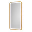 Salon Mirror - Rectangular Gold Framed LED Mirror with Smart Touch Sensor & 3-Colour Lighting Modes