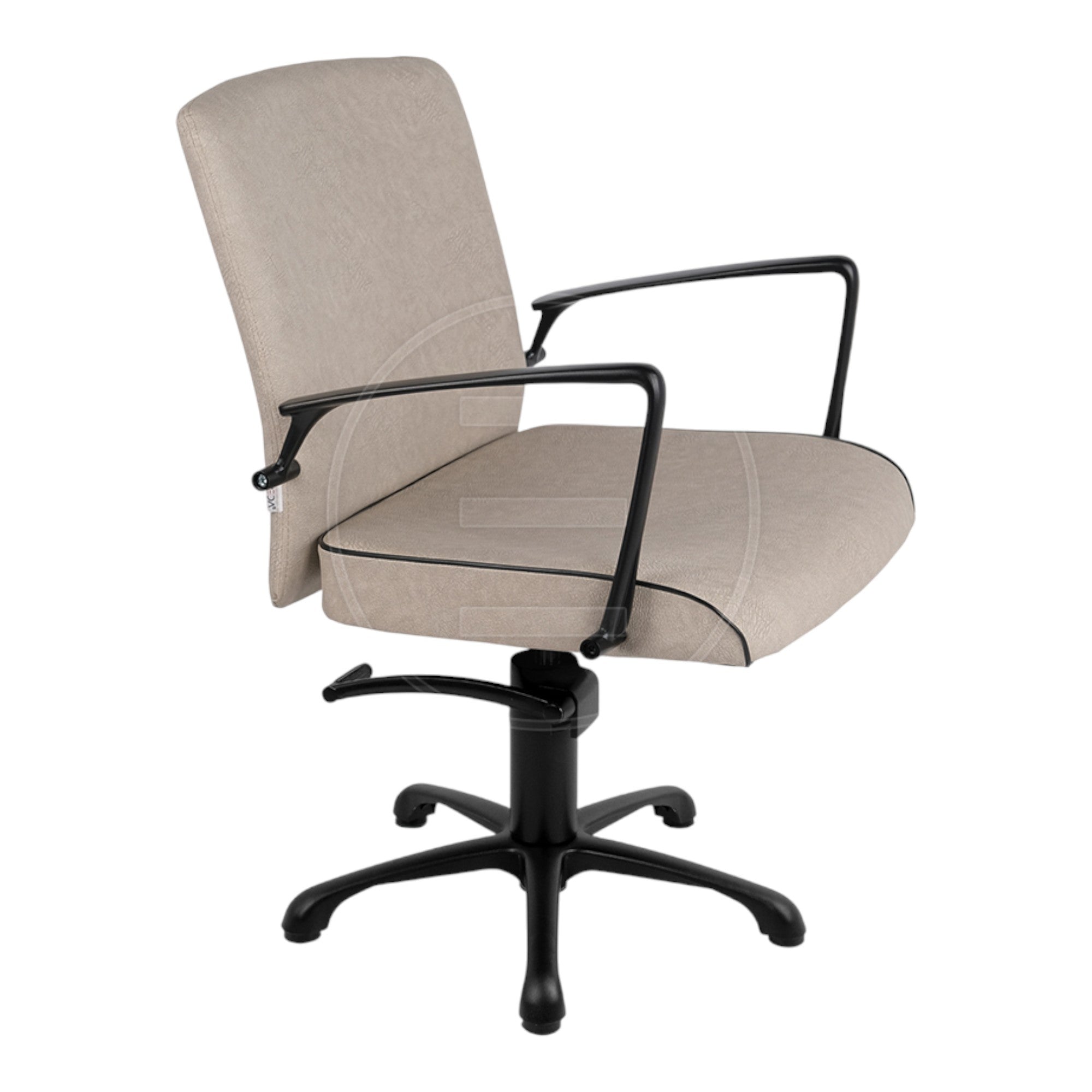 Alpeda - Icon Styling Chair (Black Finish)
