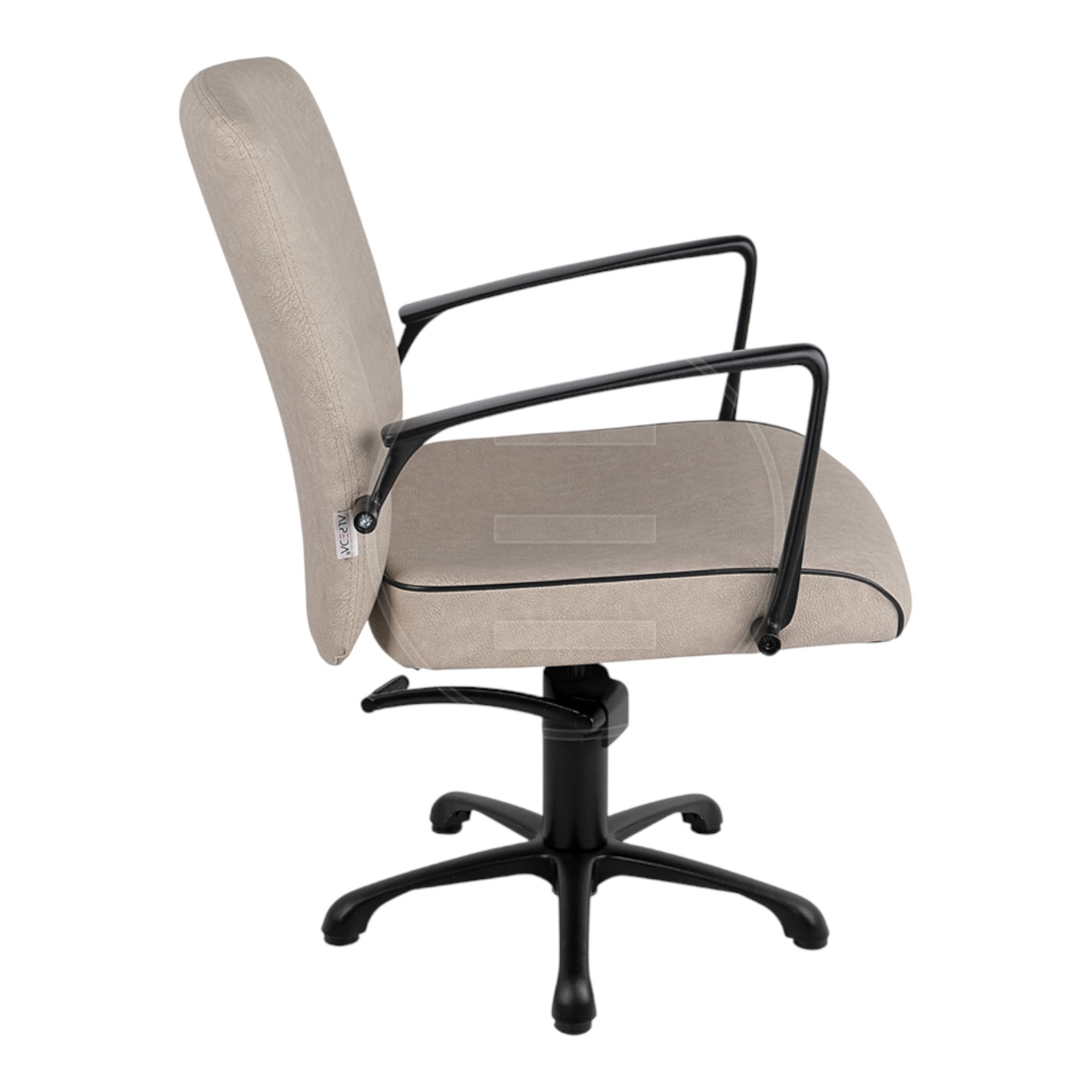 Alpeda - Icon Styling Chair (Black Finish)