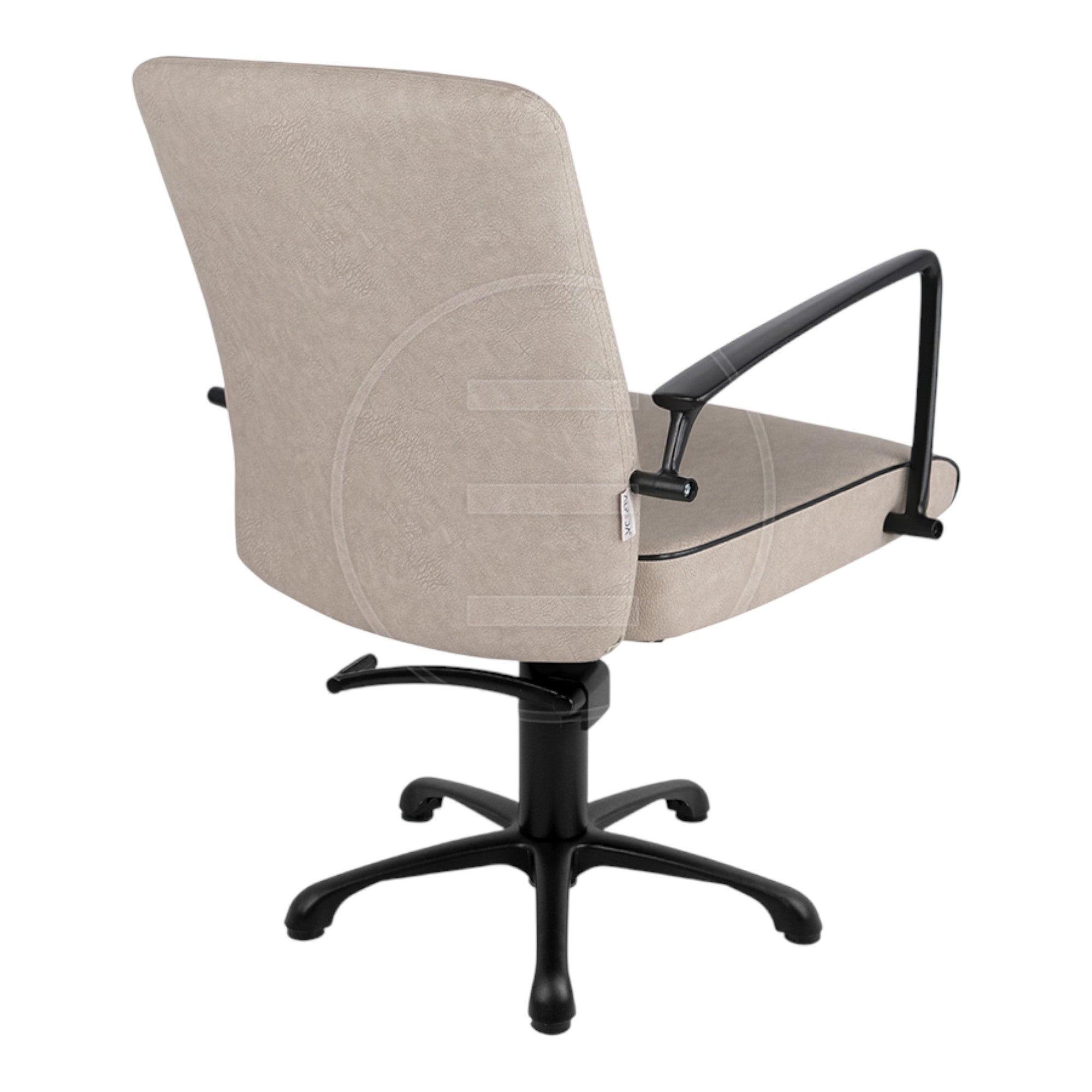 Alpeda - Icon Styling Chair (Black Finish)