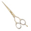 Kiepe - 2451 Luxury Gold Cut Razor Ergo Anatomic Scissors 6 Inch (16cm)