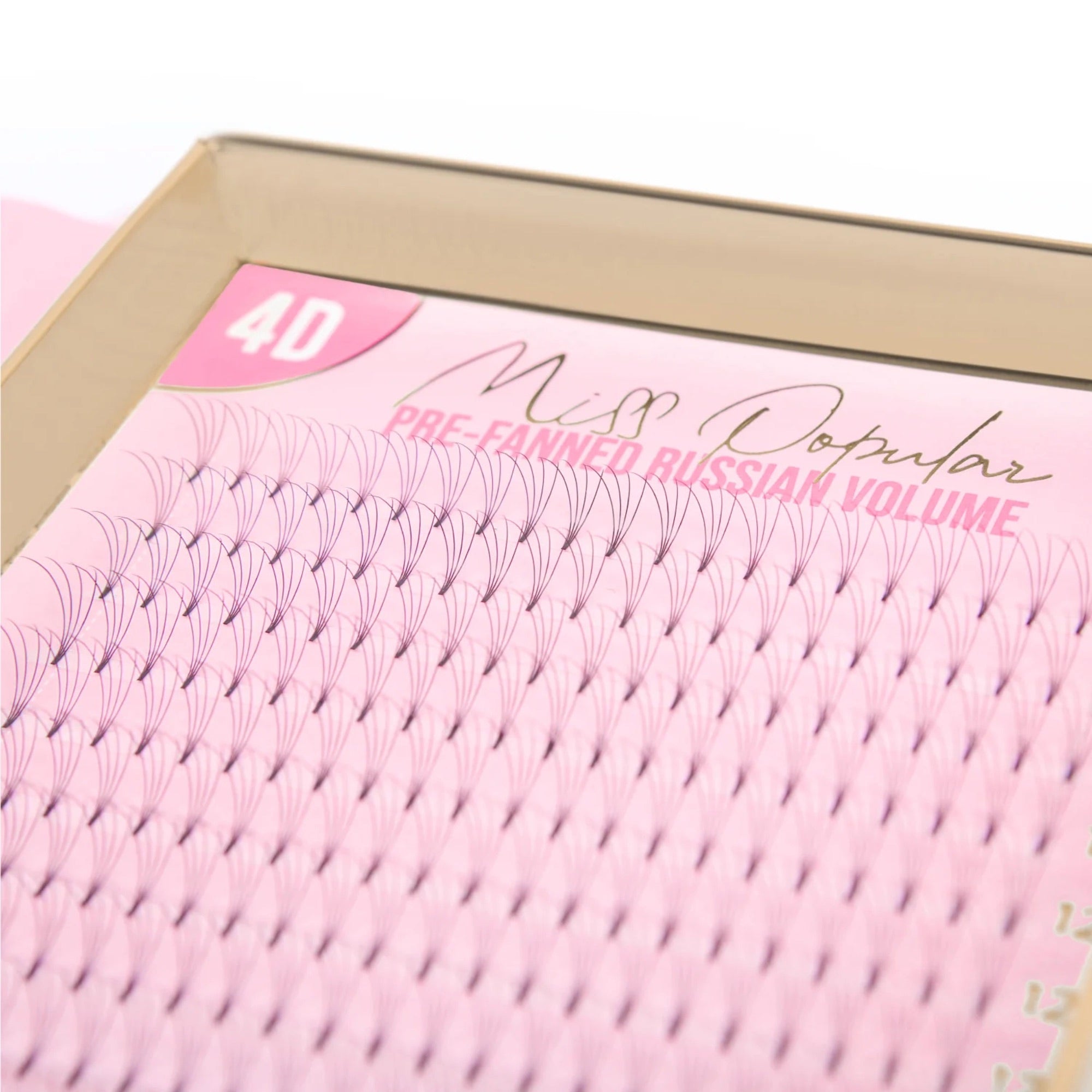Tatti Lashes - 4D Pre-Fanned Russian Volume Lashes 0.10 XL C & D Curl (11-14mm)