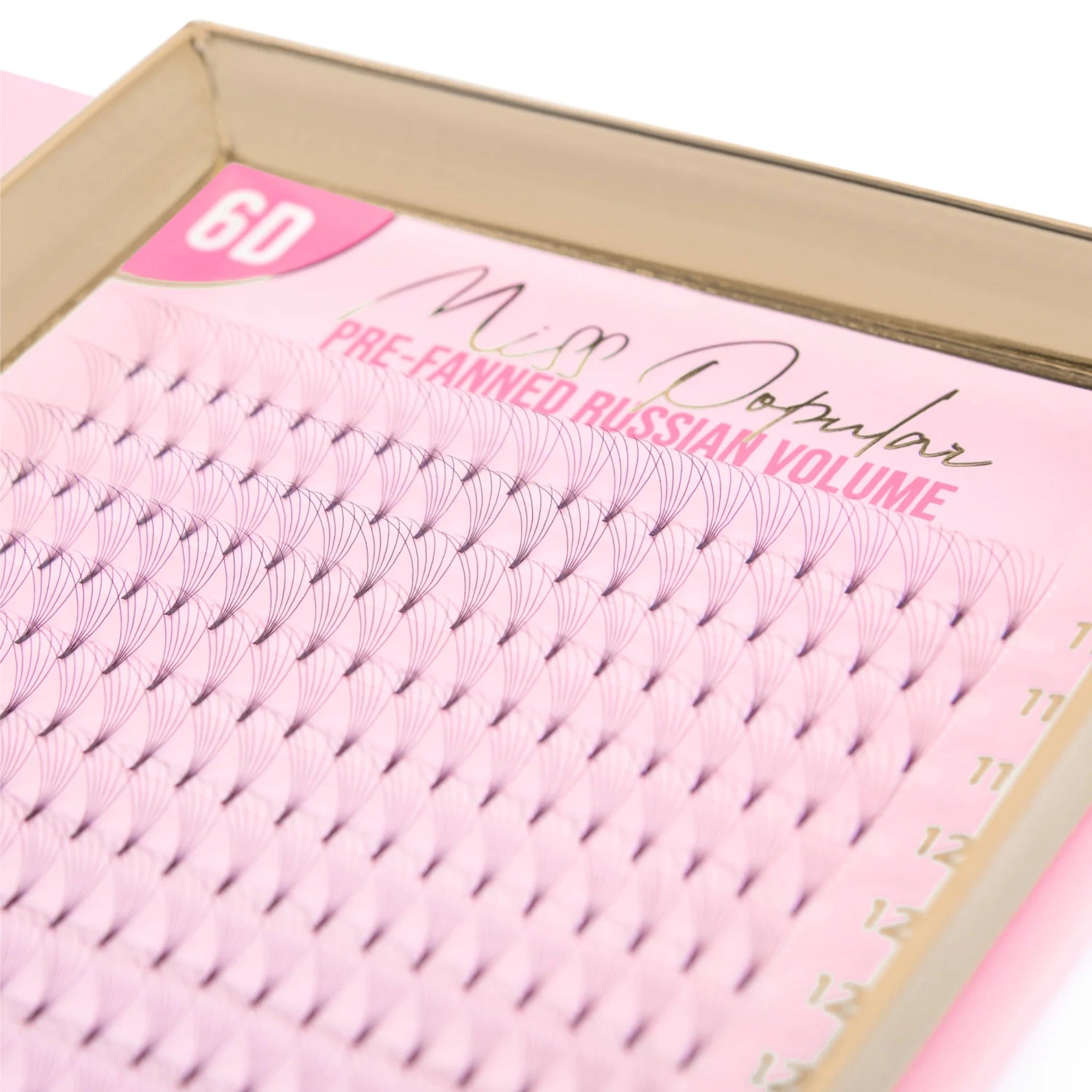 Tatti Lashes - 6D Pre-Fanned Russian Volume Lashes 0.07 XL C & D Curl (11-14mm)