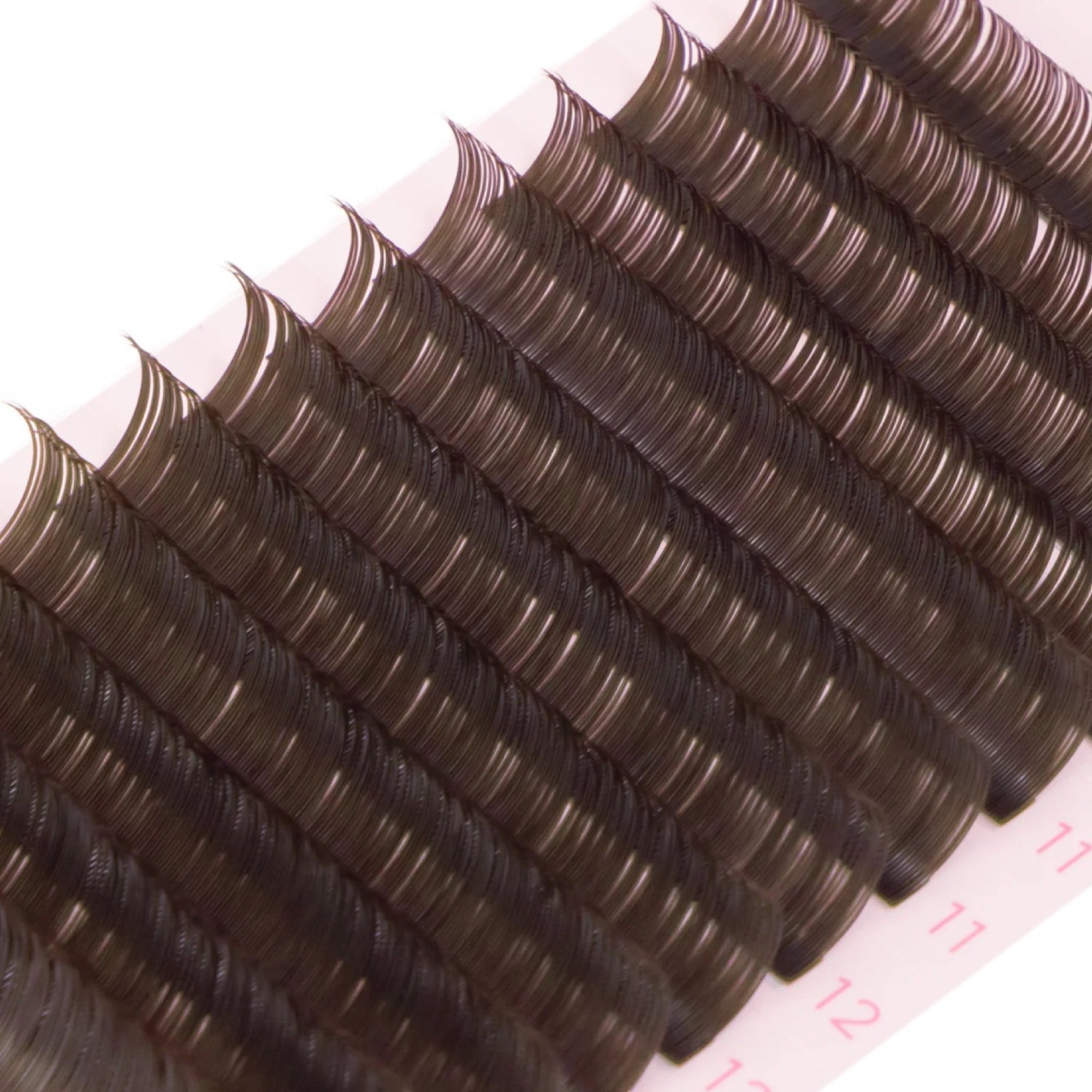 Tatti Lashes - Classic Lashes Chocolate Brown 0.2 CC 8-15mm